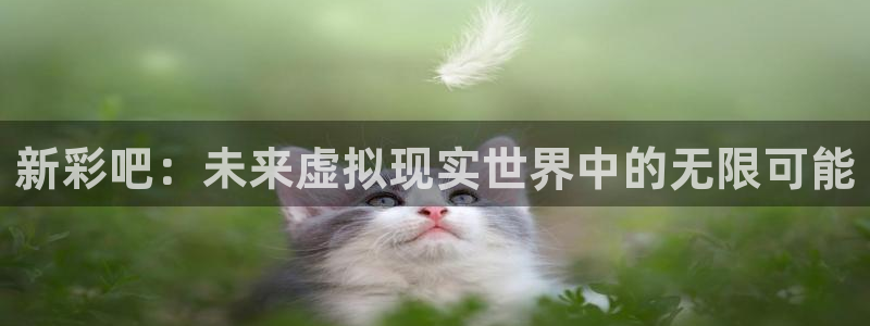 NG大舞台体育f开号：新彩吧：未来虚拟现实世界中的无限可能