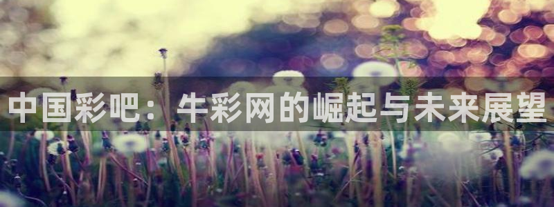 NG大舞台体育论坛：中国彩吧：牛彩网的崛起与未来展望
